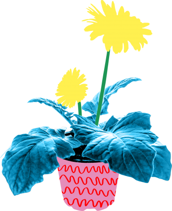 Bloemen KleinGeluk